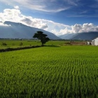 Taiwan Uses ENVI Deep Learning to Calculate Arable Lands Lost to Development
