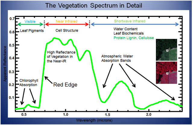 Vegetation Spectrum in Detail, Elowitz, Mark R. What is Imaging Spectroscopy