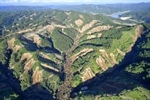 Monitoring Landslide Subsidence with ENVI® SARscape
