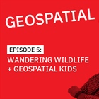 Geospatial Distancing Episode 5 | Wandering Wildlife & Geospatial Kids