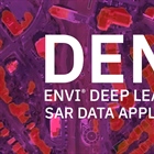 ENVI Deep Learning Applications Using SAR Data