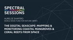 The Digital Seascape: Mapping and Monitoring Coastal Mangroves and Coral Reefs From Space