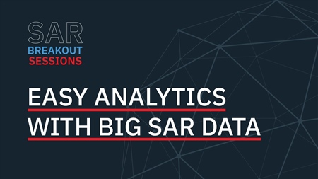 Easy Analytics with Big SAR Data