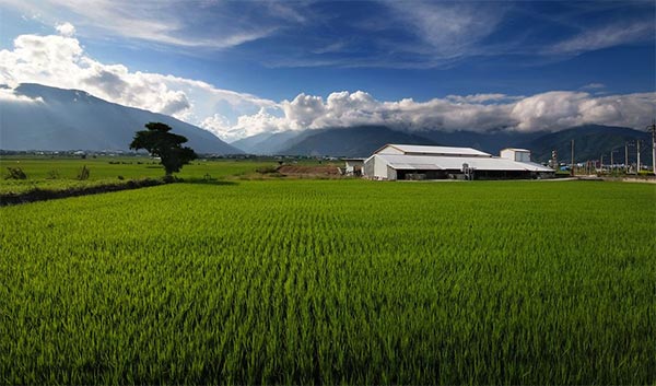 Taiwan Uses ENVI Deep Learning to Calculate Arable Lands Lost to Development