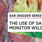 Monitoring Wildfires with SAR | The SAR Insider Series