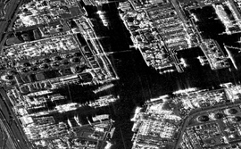 Empowering D&I Analysts to Maximize the Value of SAR