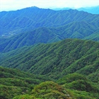 South Korea Improves Forest Greenhouse Gas Reporting with Remote Sensing and Deep Learning