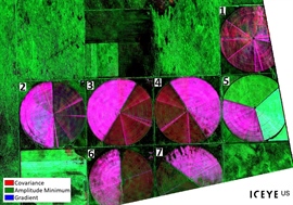 Comparing Amplitude and Coherence Time Series With ICEYE US GTR Data and ENVI SARscape