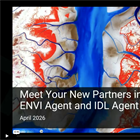 From Answers to Action: Why ENVI and IDL Agents Go Beyond General AI
