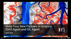 From Answers to Action: Why ENVI and IDL Agents Go Beyond General AI