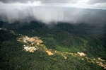 Monitoring Illegal Mining in the Amazon: Turning Persistent Data Into Actionable Insight