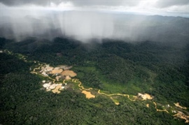Monitoring Illegal Mining in the Amazon: Turning Persistent Data Into Actionable Insight