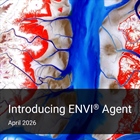 Introducing ENVI Agent