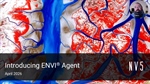 Introducing ENVI Agent