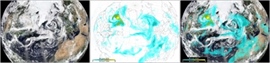 What an Ozone Satellite Can Tell Us About Wildfires