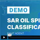 SAR Processing is Now Much Simpler with ENVI Agent