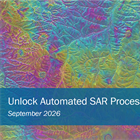 Unlock Automated SAR Processing with AI