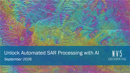 Unlock Automated SAR Processing with AI