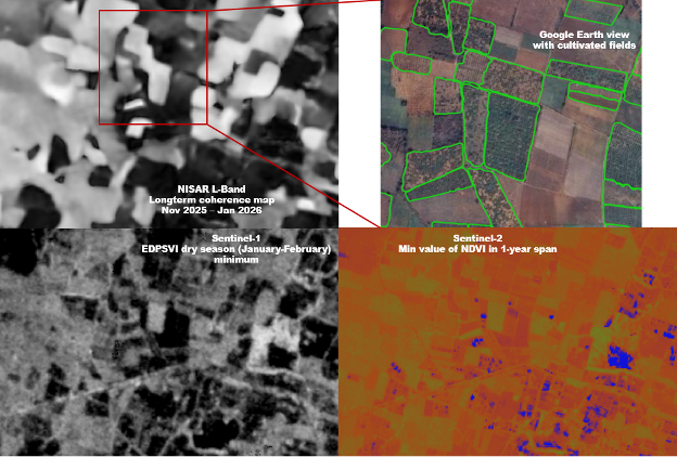 Agricultural analysis of orchards in Telangana region