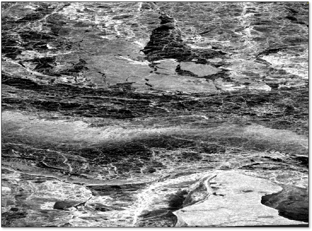 NISAR image of Russian sea ice