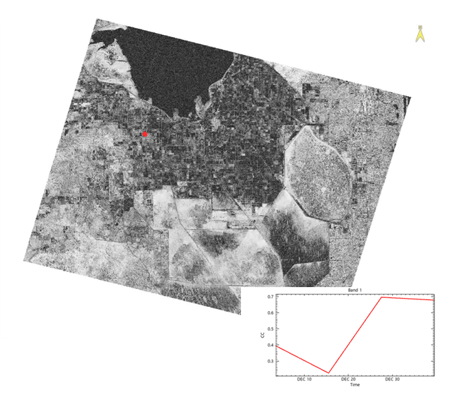 Coherence time series image and temporal profile