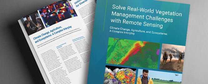 Reference Guide: Solve Real-World Vegetation Management Challenges with Remote Sensing