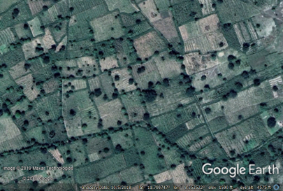 Smallholder farms in northern Nigeria
