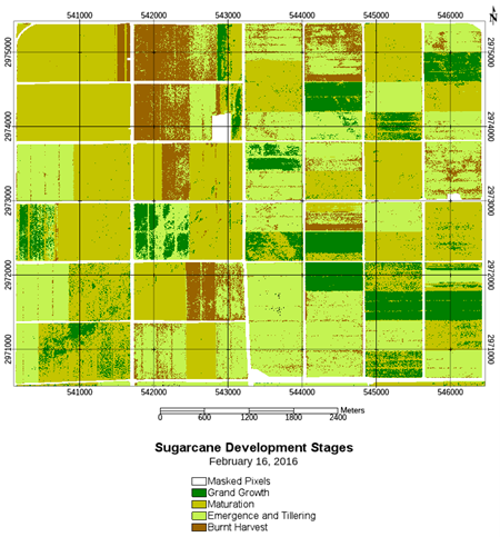 SVM classification map of sugarcane development stages