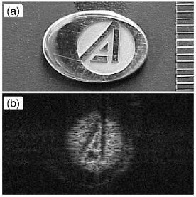 synthetic apearture imaging lidar