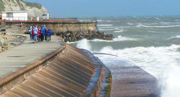 Assess mitigation efforts like sea walls