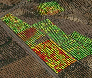 ENVI Crop Science