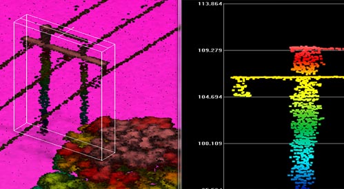 automate detection of vegetation encroachment