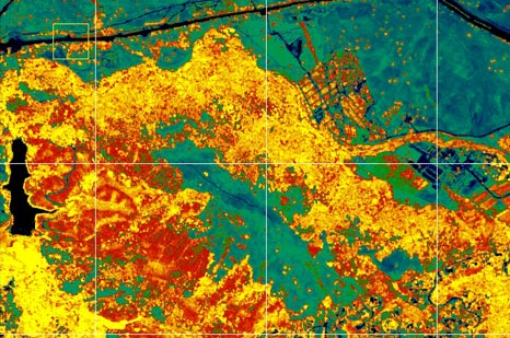 Forecast fire behavior