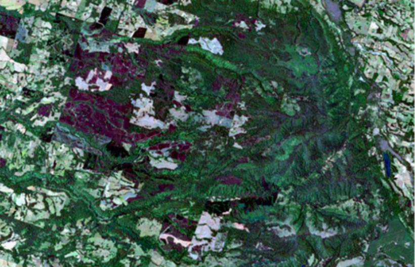 Sentinel 2 SAR Data