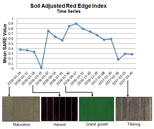 Figure 11: Plot of sugarcane SAREI mean values over a 14-month period. The images below the
plot are examples of each development stage from RapidEye true-color images.