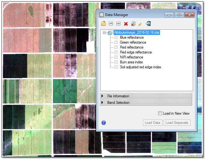 Figure 13: Attribute image with layer (band) names listed in the Data Manager.