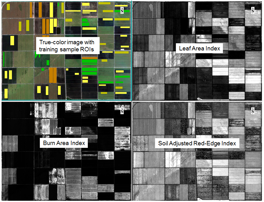 Figure 15: Multi-view display in ENVI showing the training sample dataset and three co-registered spectral index images.