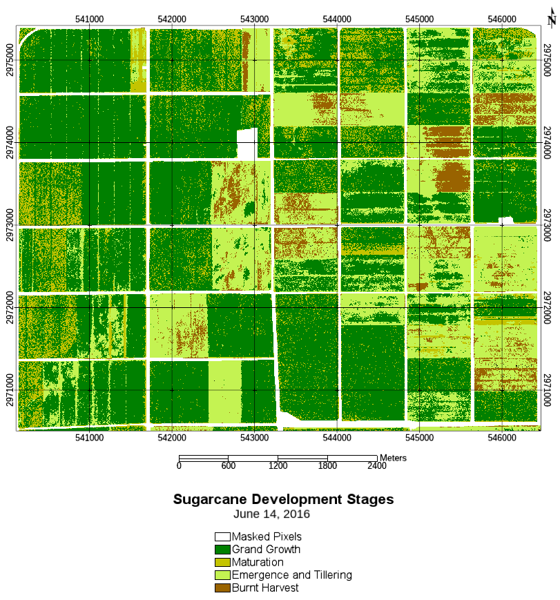 Figure 18: Map of sugarcane classification from June 14, 2016.