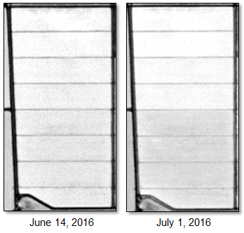 Figure 19: Soil Adjusted Red Edge Index images of a group of sugarcane fields during the grand growth period. A 2% linear stretch was applied to both images.