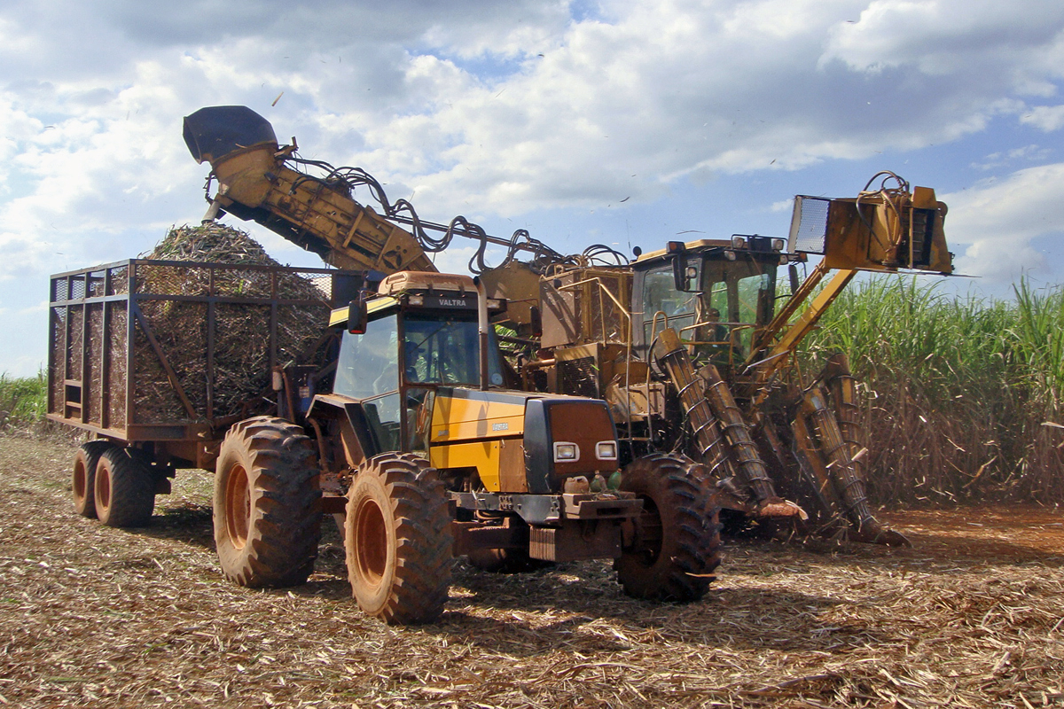 Figure 4: Sugarcane mechanized harvest operation without burning. Source: Mariordo Mario Roberto Duran Ortiz (Own work) [CC BY 3.0], via Wikipedia Commons, no modifications.
