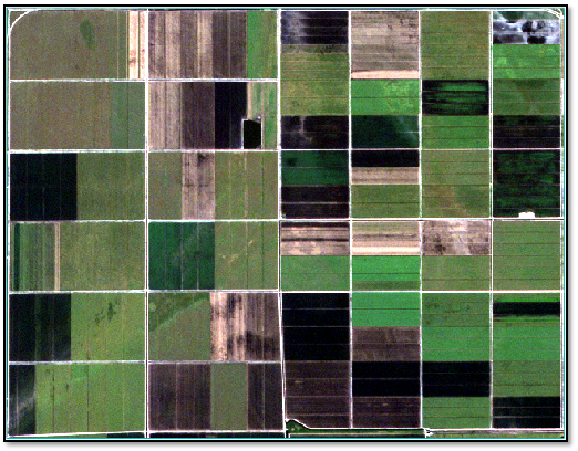 Figure 7: RapidEye true-color image from January 24, 2016, near Canal Point, Florida. This
image shows the area of interest from Steps 1-2.