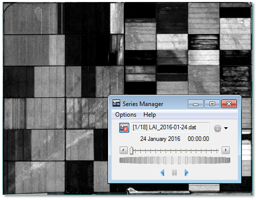 Figure 8: Example of using the Series Manager to animate through the LAI images.