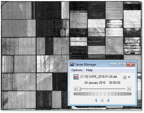 Figure 9: Example of using the Series Manager to animate through the SAREI images.