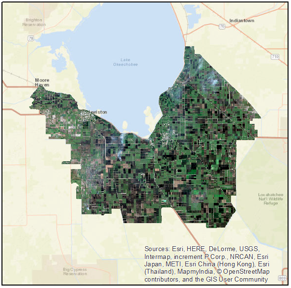 Figure 1: Sentinel-2 image of sugarcane fields in Southeast Florida.